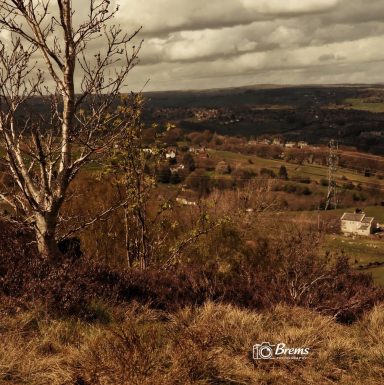 A view across Huddersfield with trees